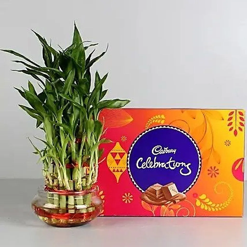 Lucky Bamboo N Celebrations